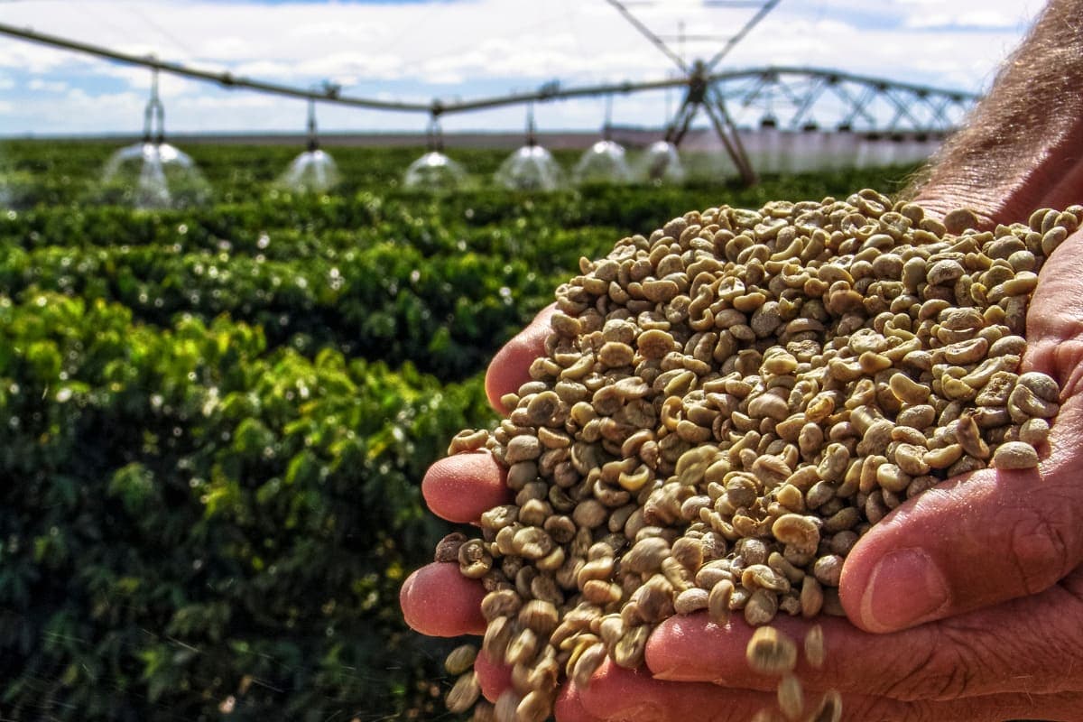 Everything you need to know about the updated EUDR regulation