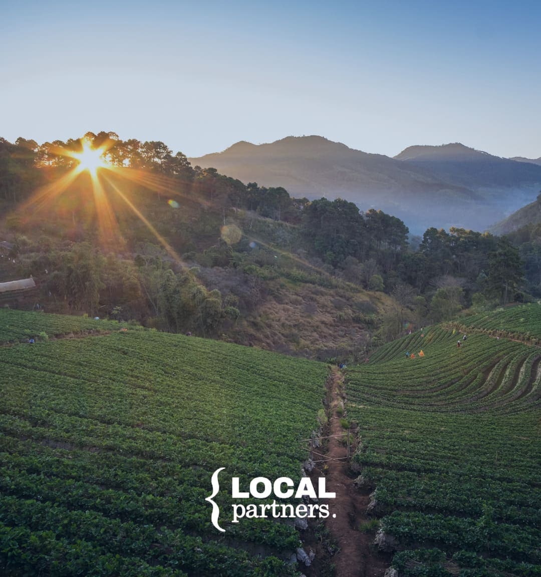 local partners y sucafina colombia