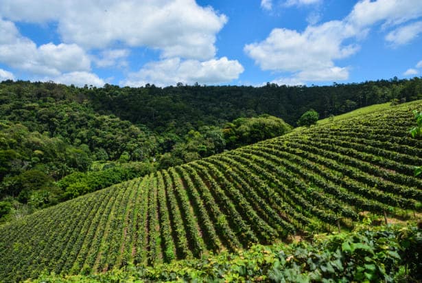 Coolx solución EUDR