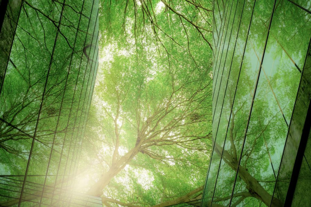 impact european green deal in spain